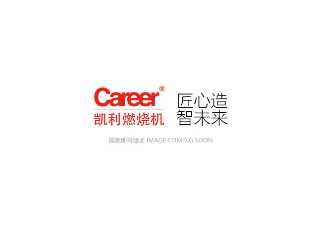GX45/GX45-2 強(qiáng)制鼓風(fēng)一體式燃燒機(jī)